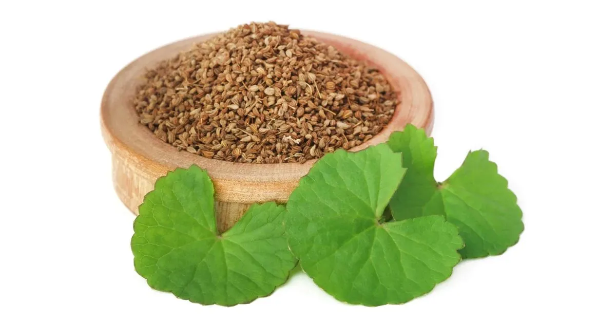 Ajwain in Telugu: వాముతో ఆరోగ్య ప్రయోజనాలు ఏమిటి?