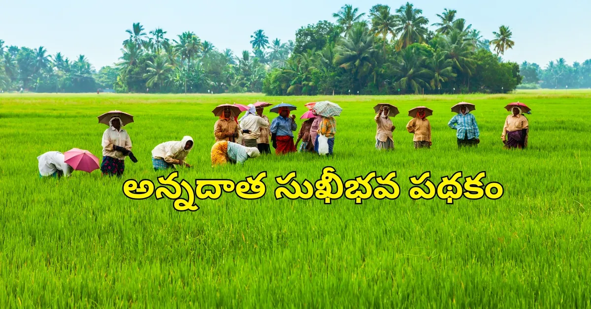 అన్నదాత సుఖీభవ పథకం – రైతుల సంక్షేమానికి ఆర్థిక సాయం వివరాలు మరియు అర్హతలు