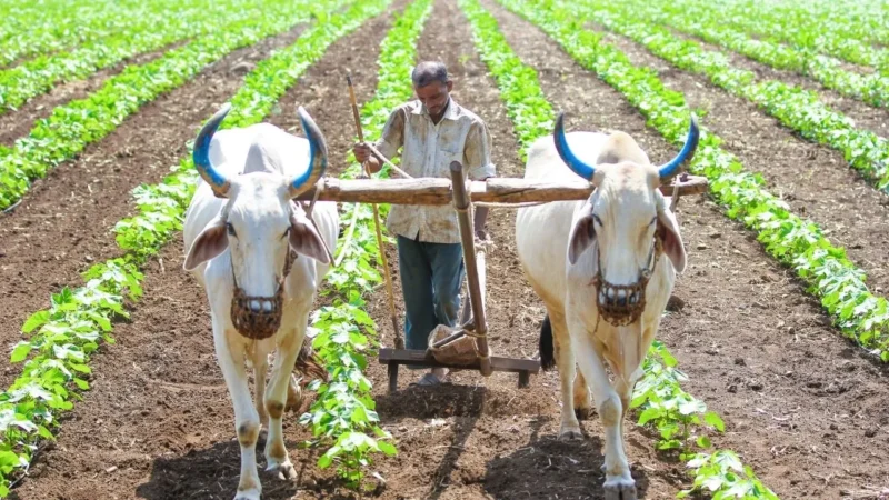 Andhra Pradesh Farmers Scale Of Finance రైతులకు శుభవార్త: 2025-26లో పంట రుణ పరిమితి పెంపు