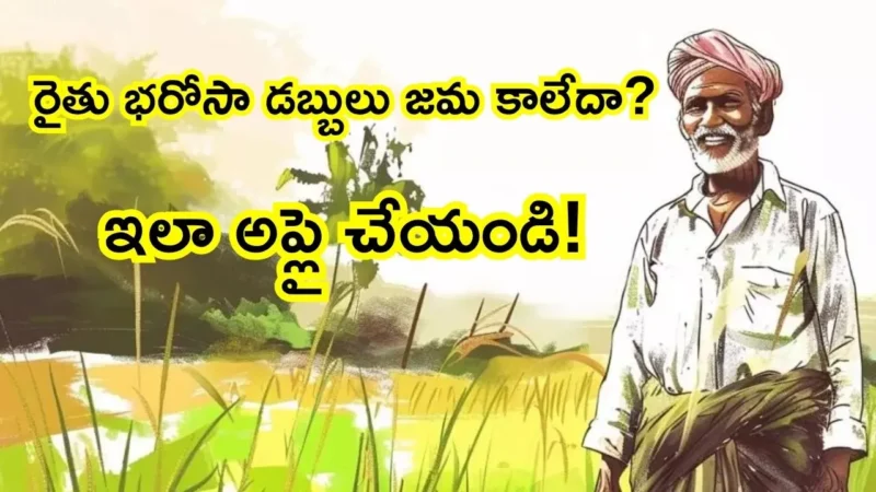 Rythu Bharosa not Credited Farmers Application రైతు భరోసా డబ్బులు జమ కాలేదా? వెంటనే ఇలా అప్లై చేయండి!