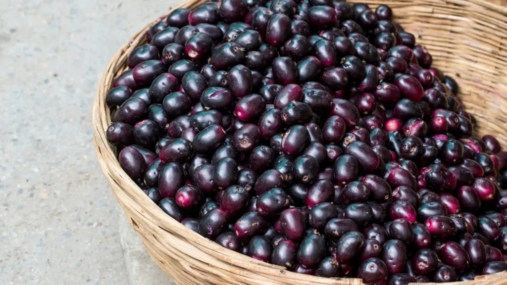 jamun-fruit-amazing-health-benefits