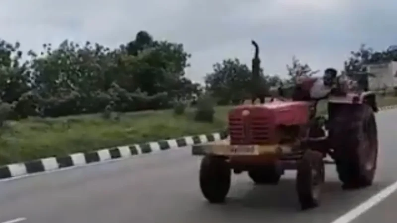 Viral Video: నడిరోడ్డుపై ప్రాణాలతో చెలగాటం..
