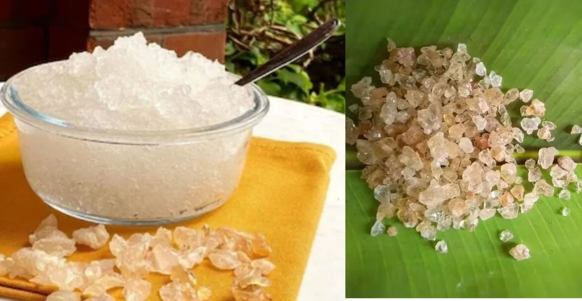 Gond Katira in Telugu: గోండ్ కటీరా ప్రయోజనాలు వాడకం, ఆరోగ్యానికి ఉపయోగాలు