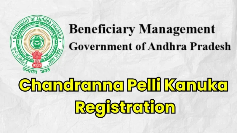 Chandranna Pelli Kanuka Registration 2025: Online Application