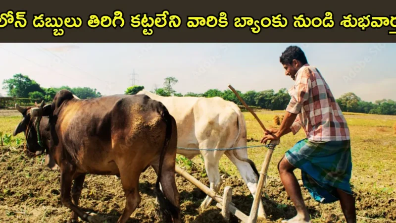 Loan Scheme 2025: రైతులు, వ్యాపారుల కోసం ఓటీఎస్ రుణ మాఫీ – ఒకేసారి రుణ పరిష్కార పథకం పూర్తి వివరాలు
