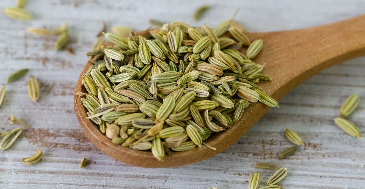 fennel-seeds-in-telugu-uses-and-health-benefits