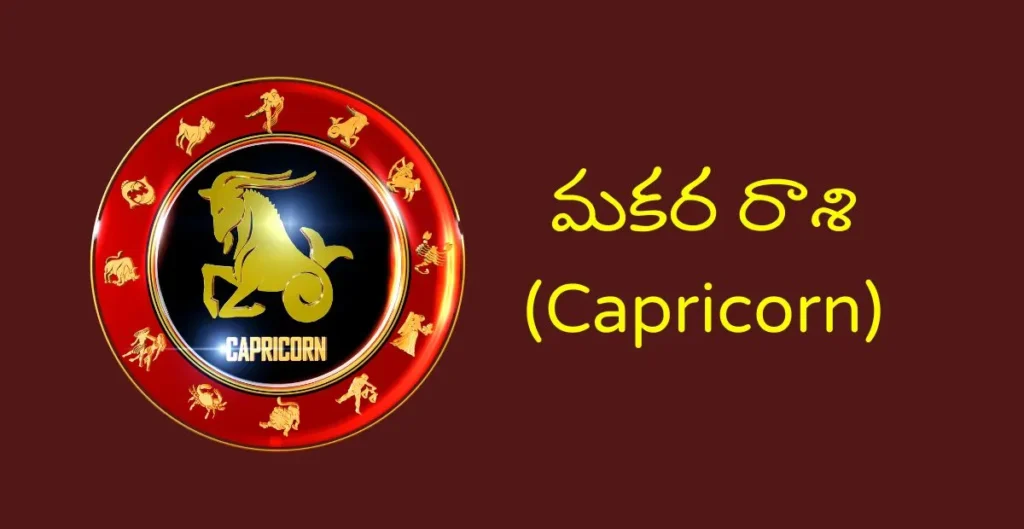 మకర రాశి (Capricorn)
