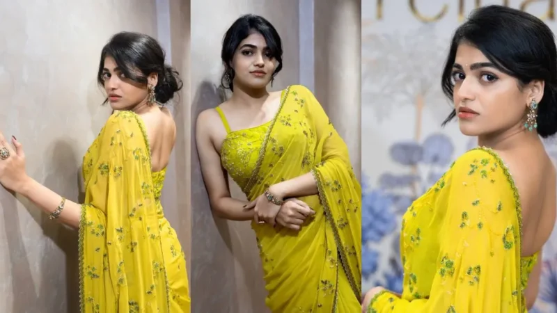 Sangeerthana Vipin Latest Photos