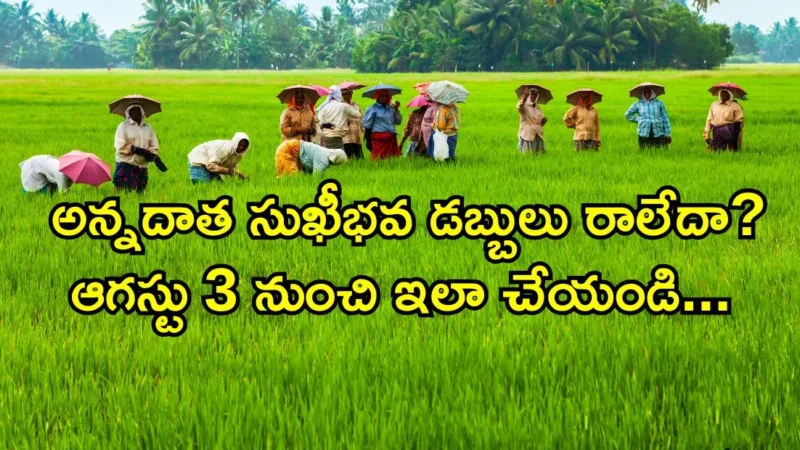 అన్నదాత సుఖీభవ డబ్బులు రాలేదా? వెంటనే ఇలా చేయండి