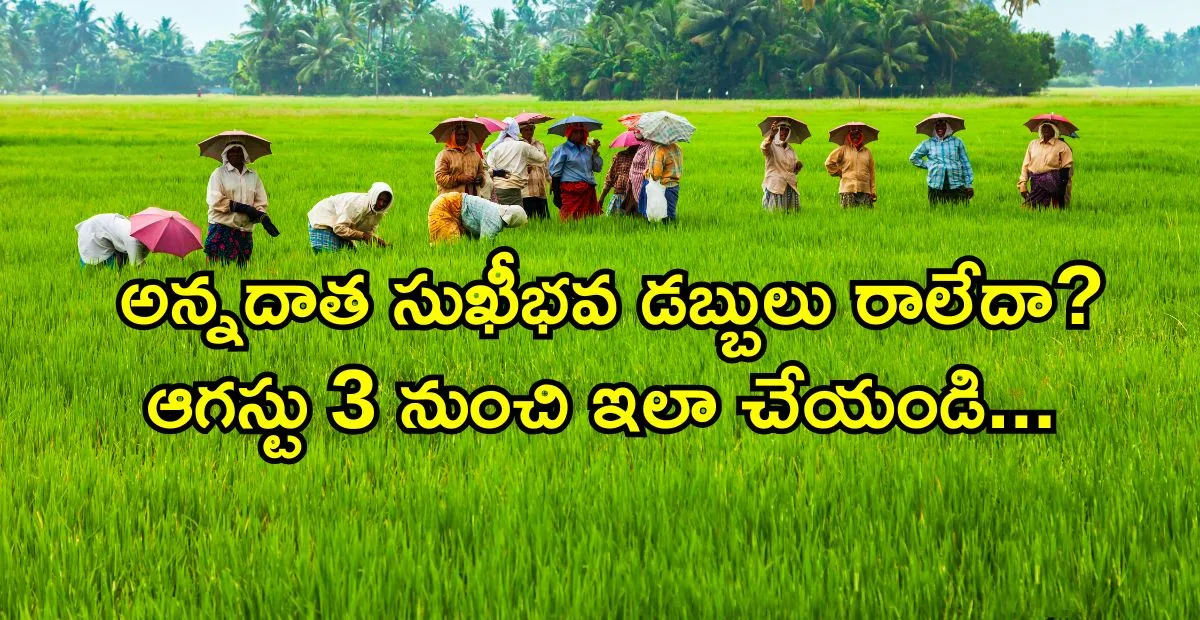 అన్నదాత సుఖీభవ డబ్బులు రాలేదా? వెంటనే ఇలా చేయండి