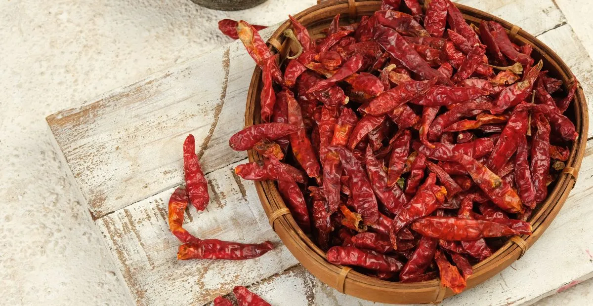 Benefits Of Eating Red Chillies : ఎర్ర మిరపకాయలు తినడం వల్ల కలిగే షాకింగ్ లాభాలు – మీరు ఊహించని ప్రయోజనాలు