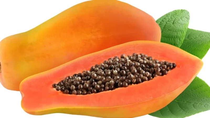 Papaya Seeds Benefits: ఇప్పటి వరకు పారేసిన ఈ గింజలతో ఆరోగ్యానికి ఎంతో మేలు!