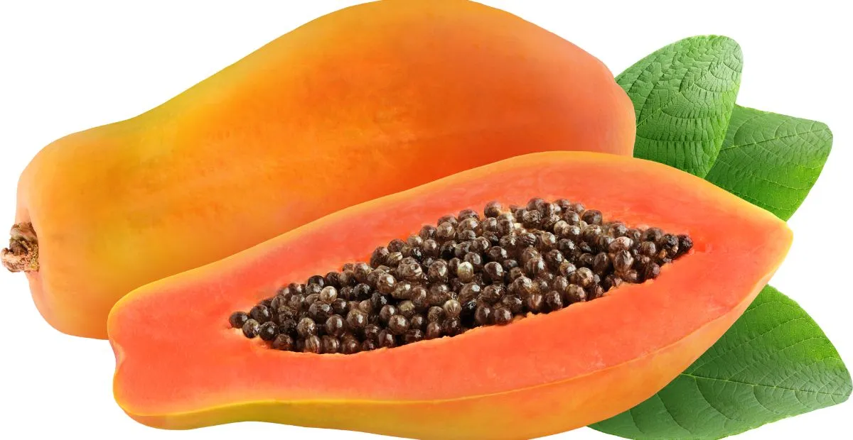 Papaya Seeds Benefits: ఇప్పటి వరకు పారేసిన ఈ గింజలతో ఆరోగ్యానికి ఎంతో మేలు!
