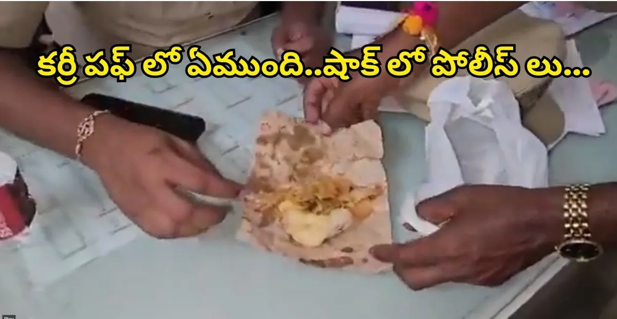 snake-found-in-curry-puff-jadcherla-bakery-shock
