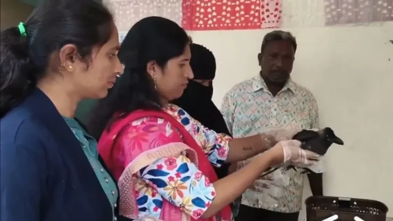 ఇలాంటి బంధం ఎప్పుడైనా చూశారా? మనిషి – కాకి మధ్య అనుబంధం వెనుక నిజం!