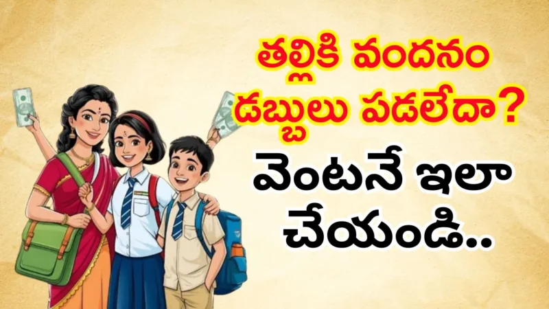తల్లికి వందనం డబ్బులు పడలేదా ? అయితే వెంటనే ఇలా చేయండి..