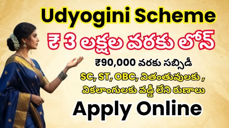 Udyogini Scheme 2025 : మహిళలకు ₹3 లక్షల వడ్డీ లేని రుణం Apply Online