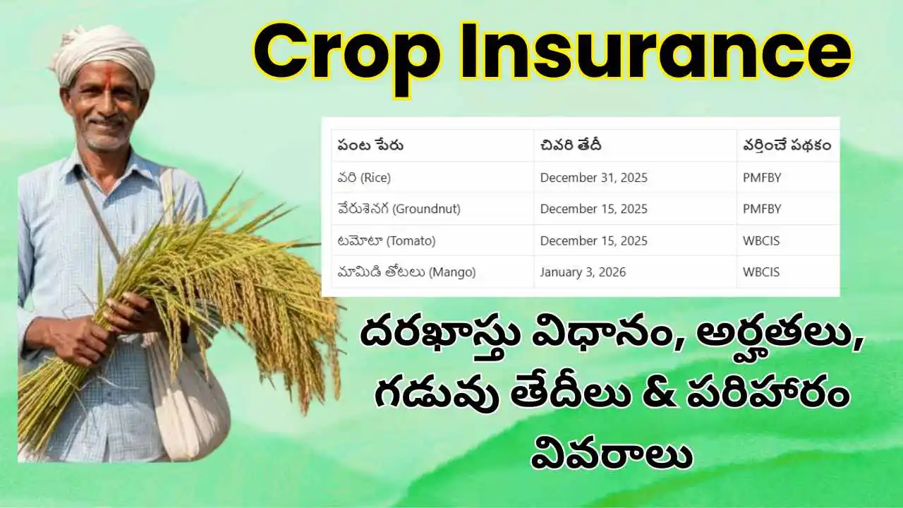 ap-crop-insurance