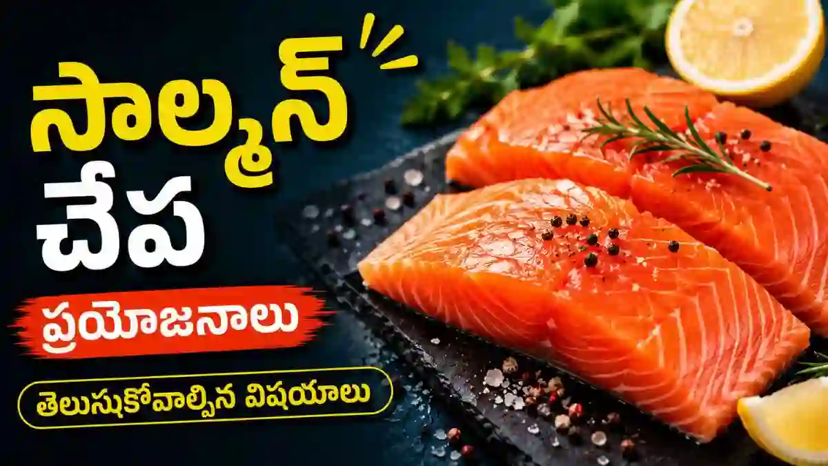 Home 25 salmon-fish-in-telugu