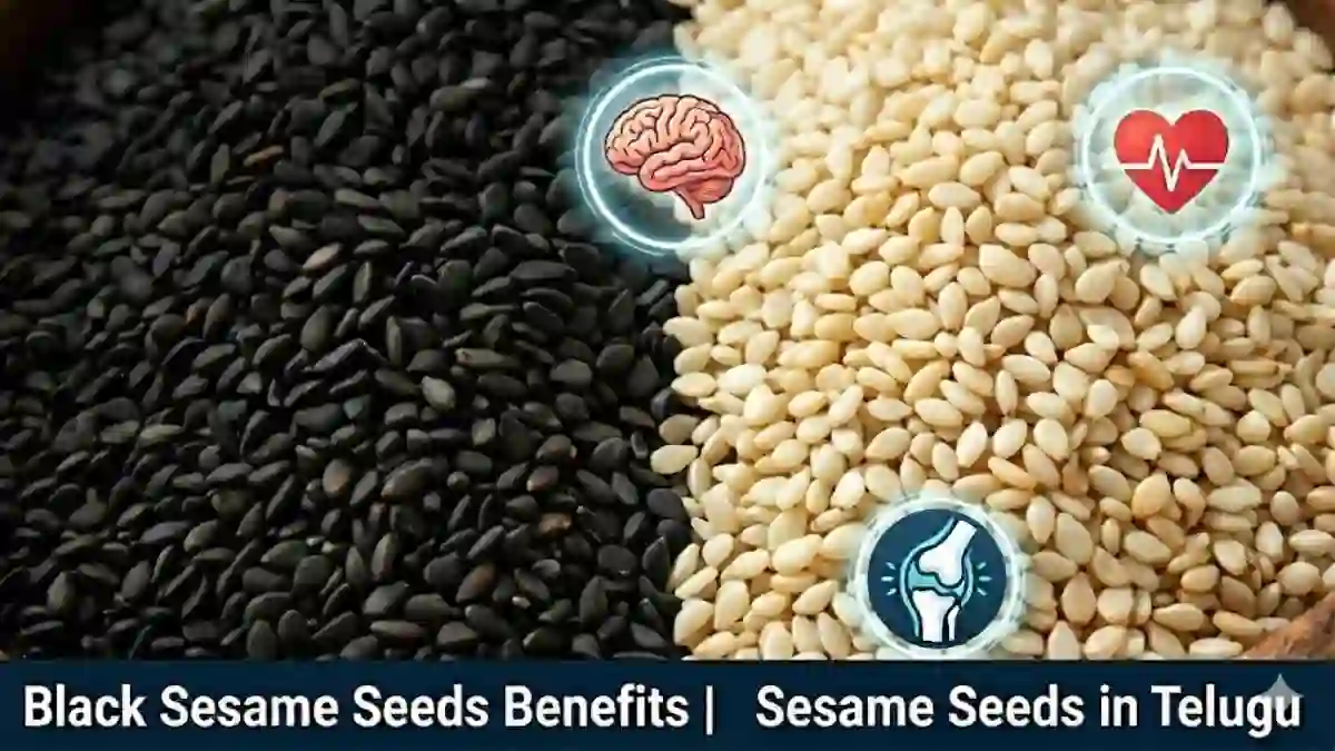 Home 1 sesame-seeds-in-telugu-benefits