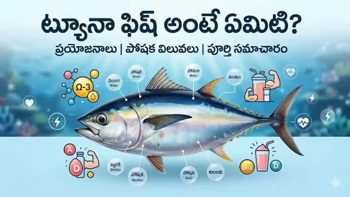 Home 1 tuna-fish-in-telugu